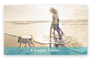 couple walking on the beach with their dog