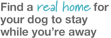 Find a real home for your dog to stay while you're away