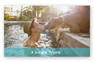man kissing dog in pool on vacay
